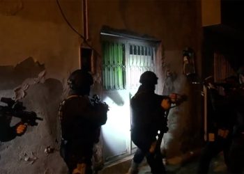 51 Vilayette Gürz Operasyonu: 282 Kuşkulu Yakalandi