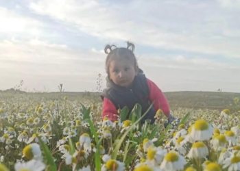 MARDIN’DE KONUTUNUN ÖNDE ARAINDEN ÇARPIMA 2 YAFINDAKI BABEK VERDI