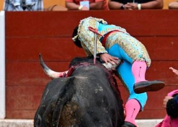 Meksika’da Boğa, Matadoru Makatindan Boynuzladı